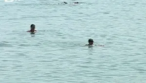 Морската вода най-топла от 17 години насам