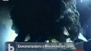Разливът в Мексиканския залив - най-големият в историята 