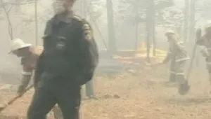 Над 300 нови огнища на пожари бушуват в Русия