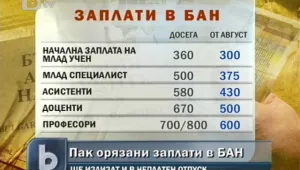 Отново режат заплатите в БАН