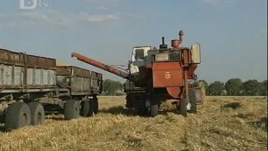 43 хиляди декара, засети с пшеница, са унищожени от пороите