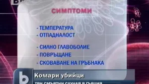 Засега нямало комари убийци у нас