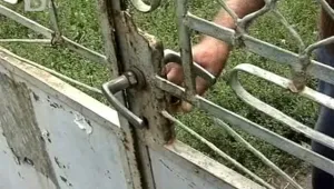 Села в Монтанско си организират частна охрана