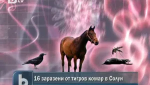 Потвърдиха нилска треска при 16 болни в Солун