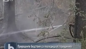  Природните бедствия - последица от горещините