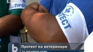 Ветеринарите ще стачкуват от 1 септември