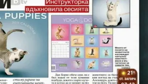 Преглед на печата