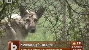Георги Неделчев: Кучетата не трябва да стават врагове на обществото