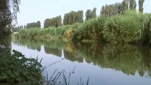 Коритото на Марица край Пловдив е в окаяно състояние