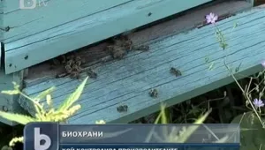 Бум на търсенето и предлагането на биохрани у нас