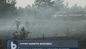 Путин уволни директора на Агенцията по горите