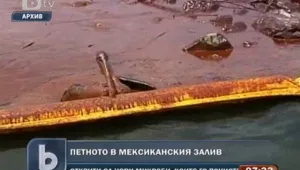 Откриха нови микроби, които разяждат петролното петно 