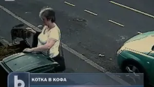 Клип в интернет разкри посегателство срещу котка