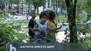 Детски градини в Търговище заплашени от насекоми и влечуги