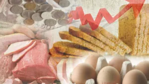 От къде предпочитате да пазарувате хранителни продукти?