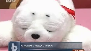 Утешават пострадалите в Япония с играчка-робот