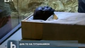 Почти 50% от мъжете в Европа имат сходна ДНК с Тутанкамон