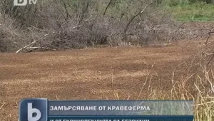 Кравеферма замърсява цяло село