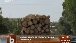 Жесток побой за спор за дърва за огрев