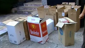Разбиха незаконно депо за контрабандни цигари в Плевенско 