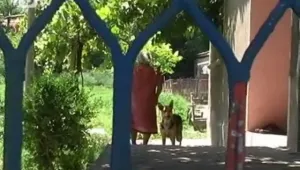Апаши пребиха до смърт мъж в плевенско село 