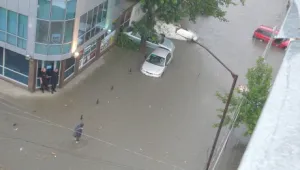 3-годишно дете пострада от паднал клон във Варна 