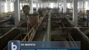 Борисов: Ще решим проблема с пречиствателните станции по морето 