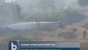 Пожар изпепели лозя и стърнища в Благоевградско