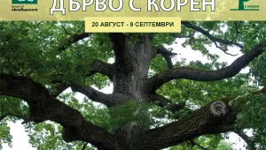 Изложбата 