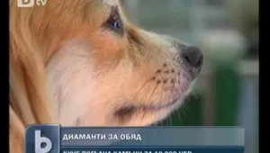 Куче си похапна диаманти за обяд