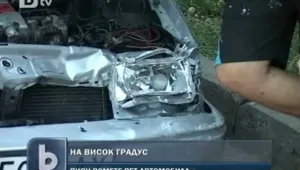 На градус с бясна скорост: Търновец помете пет коли