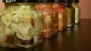Благотворителна организация раздава харни ... без контрол и регистрация
