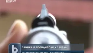 Мистериозен стрелец избива котки в пловдивски квартал 