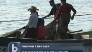 Започват масови проверки за продажба на риба на открито