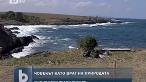 Унищожават защитени растения в природен парк Странджа