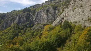 След двудневно издирване: 73-годишен мъж е открит край чепеларско село