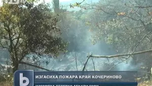 200 декара горa и 10 къщи изгоряха край село Фролош
