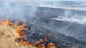 Силен пожар бушува край село Черни Осъм, огън обхвана гори в Пловдивско  