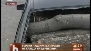 Крадци на дървесина пребиха с камъни горски