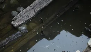МК проверява състоянието на находките до Ларгото