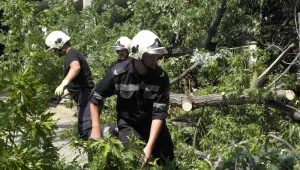Двама души пострадаха от паднали клони в Шумен