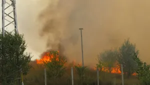 Пожарът край Русе е овладян, а въздухът е безопасен