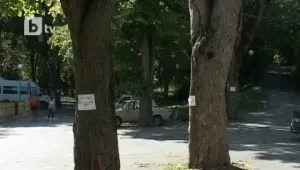 Табели предупреждават за опасните дървета в Шумен