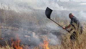 Четирима души пострадаха при опит сами да гасят горски пожар