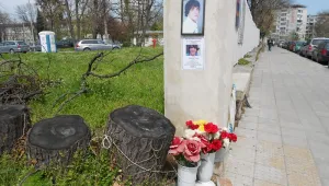 100 хил. лв. обезщетение за убития от дърво Пейо Янчев