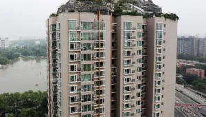 Професор си построи планина с вила върху небостъргач