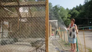 Хладни бани спасяват от жегите животните в зоокъта на Шумен