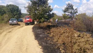 Бадемови насаждения горяха в „Иракли”