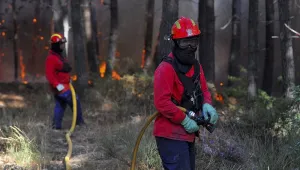 Пожарникар загина в борба с огнената стихия в Португалия
