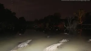 Алигатор открадна фотоапарат, върна го след 8 месеца